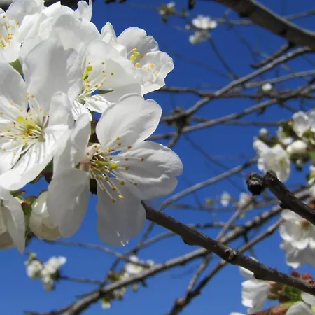 Vacanza Apartment Lägenhet Mostar
