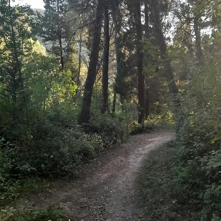 Lägenhet Vacanza Apartment Mostar