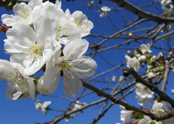 Vacanza Apartment Apartamento Mostar